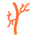 Arterie