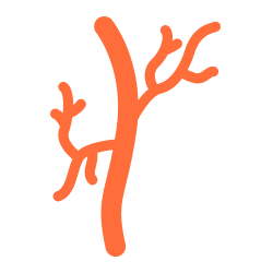 Arterie